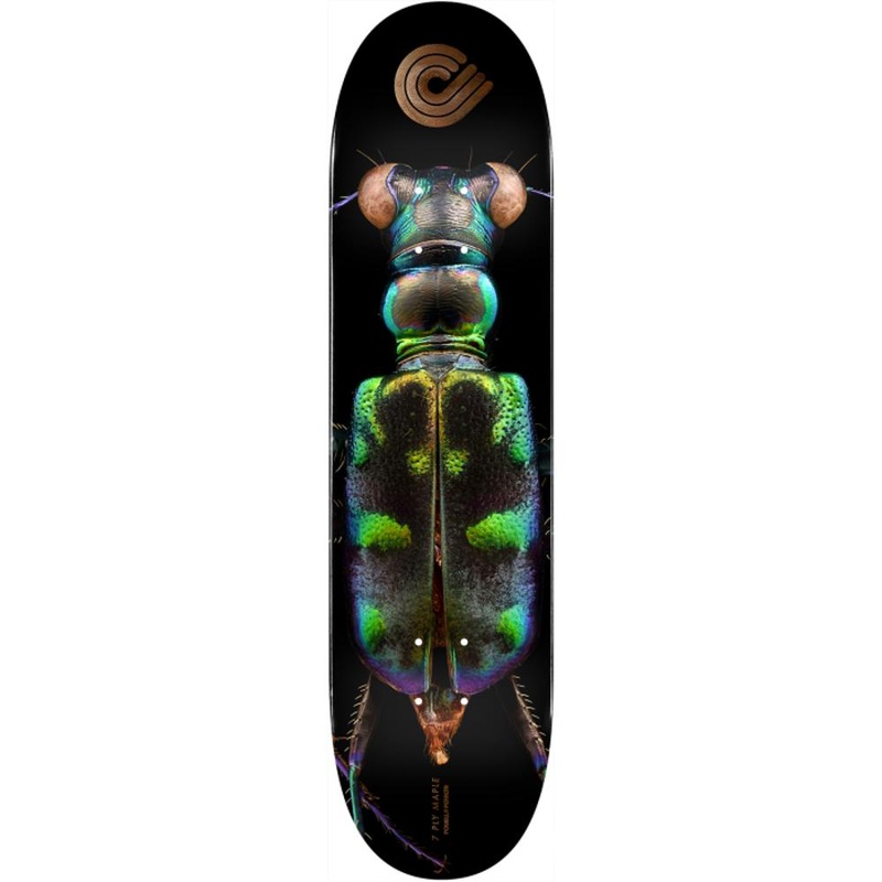 Powell Peralta Biss Tiger Beetle 8.25″ Skateboard Deck