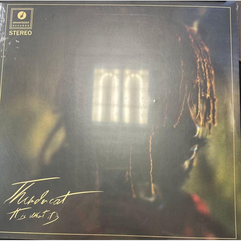 Thundercat – It Is What It Is [Red Color] Vinyl LP Record