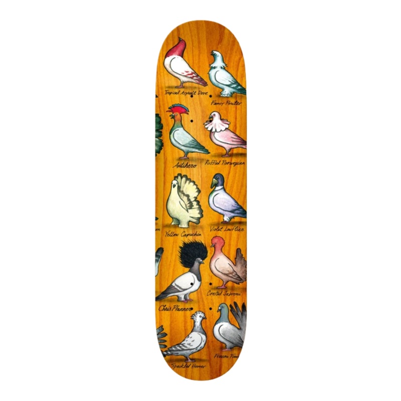 Anti Hero Pfanner Show Pigeons Deck 8.06″ Assorted Stains 8.06