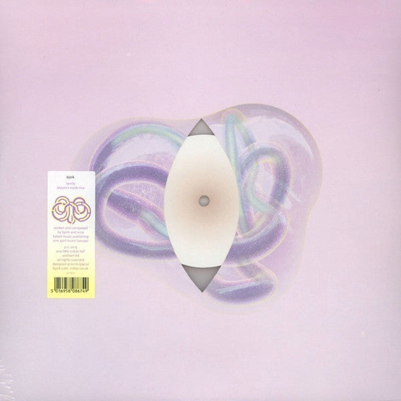 Bjrk  Family (Bloom’s North Mix) Vinyl LP Record