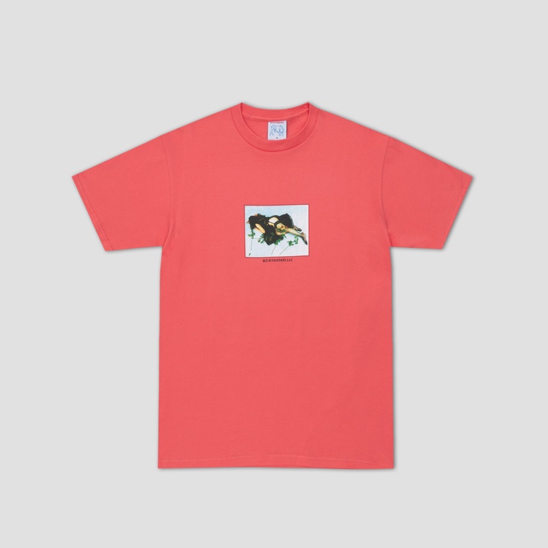 Sci-Fi Fantasty Dead Roses T-Shirt Paprika Small