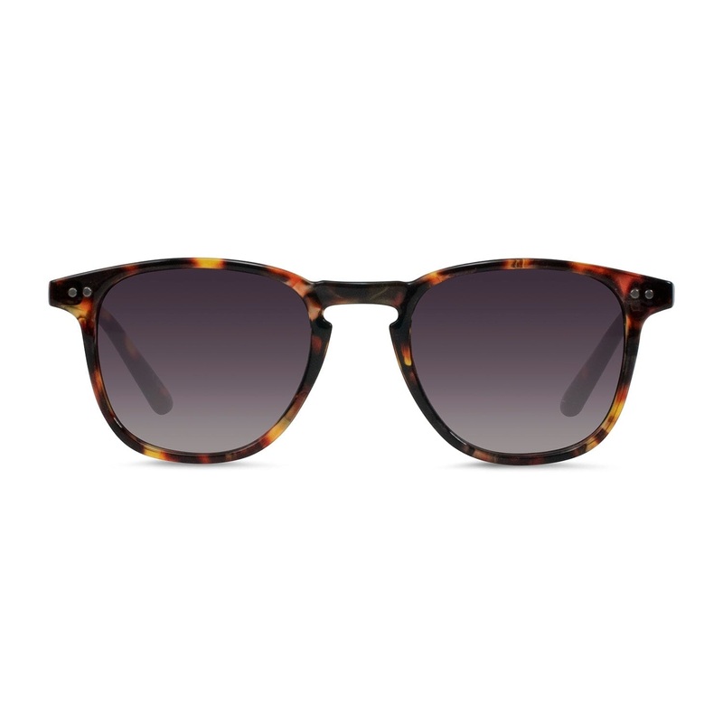 Cassette Optics Standard Sunglasses Whiskey Tortoise/Smoke Gradient