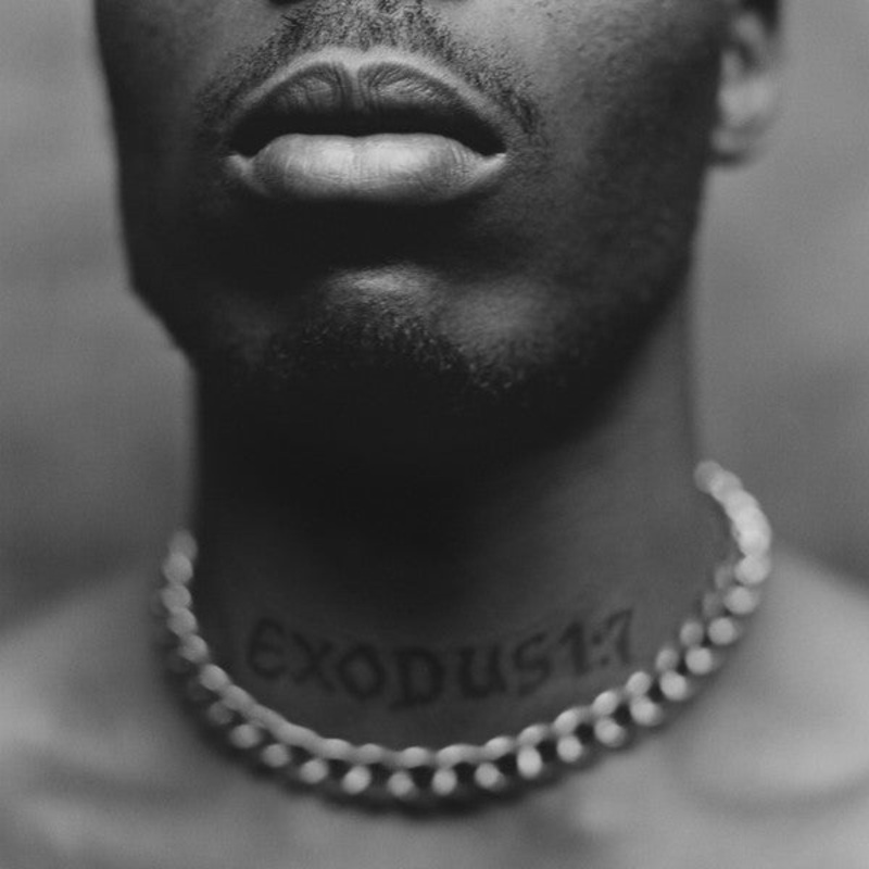 DMX – Exodus Vinyl LP Record
