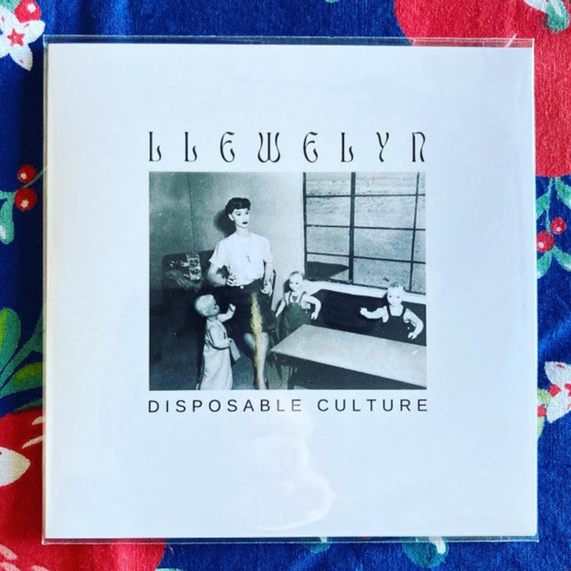 Llewelyn  Disposable Culture CD