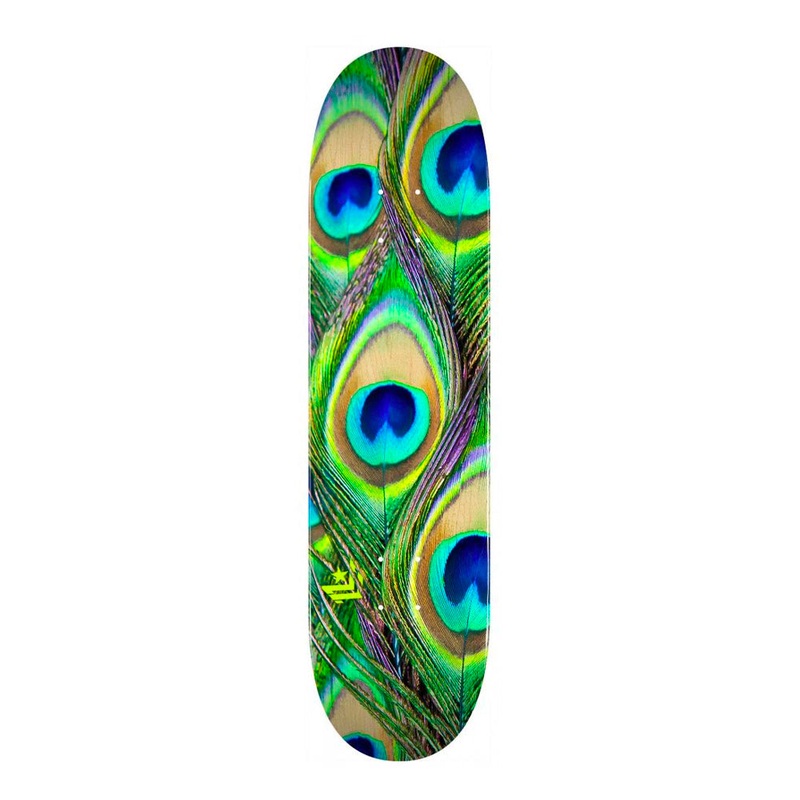 Mini Logo – 8.5″ – 18 Peacock Feather 243 Deck – Multi