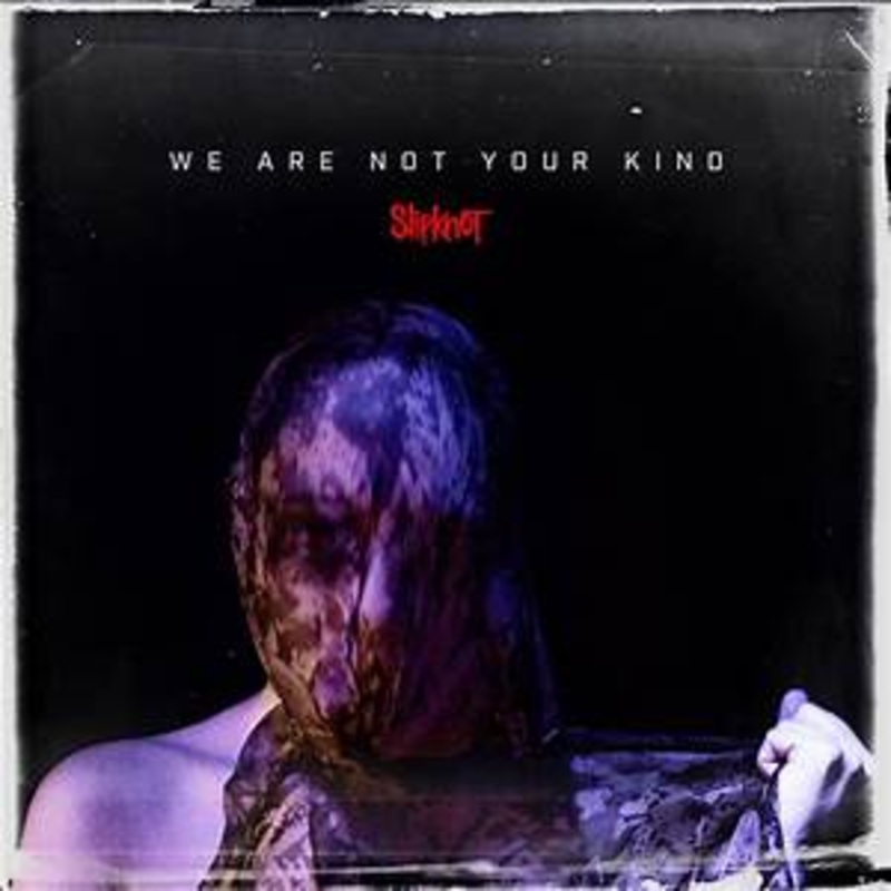 Slipknot  We Are Not Your Kind 2xLP Vinyl LP Record