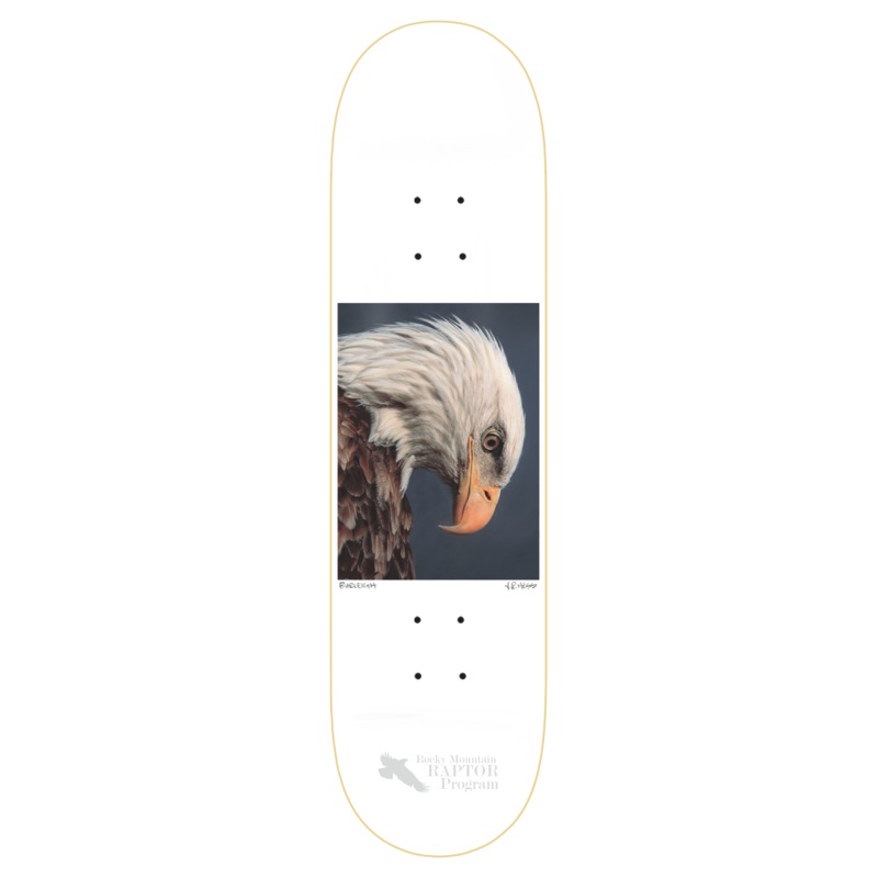 ZERO BURLEIGH BALD EAGLE 8.5″ SKATEBOARD DECK
