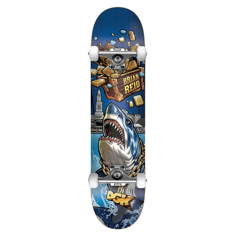 DGK Reid Treasures Complete 8.06