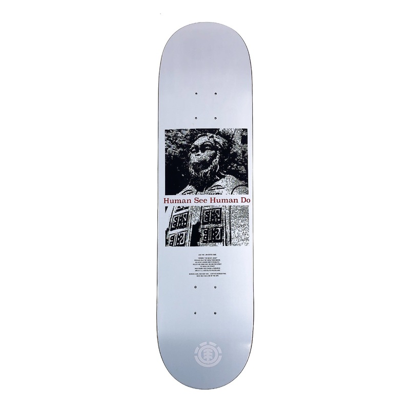 Element – 8.125″ – Planet of the Apes Monarch Deck
