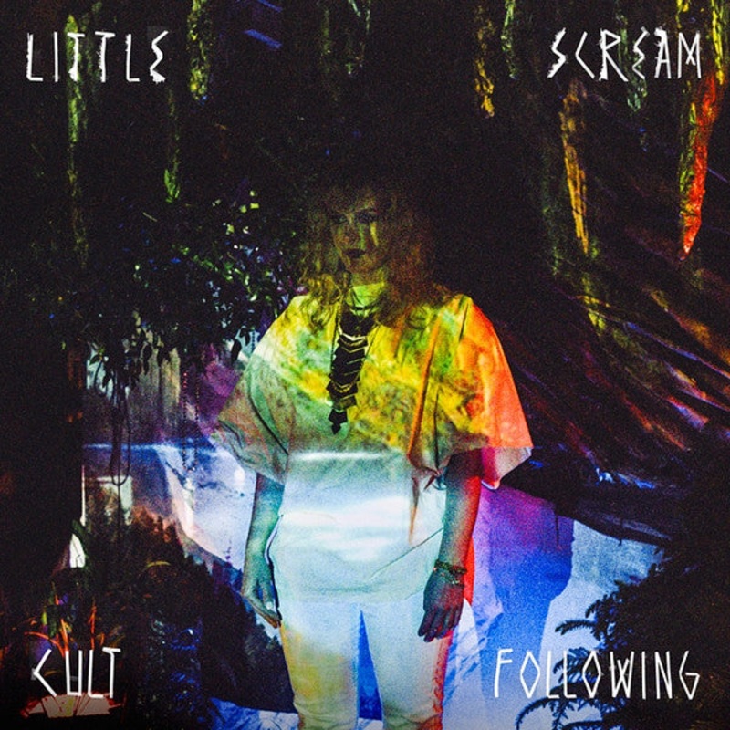 Little Scream  Cult Following Vinyl LP Record