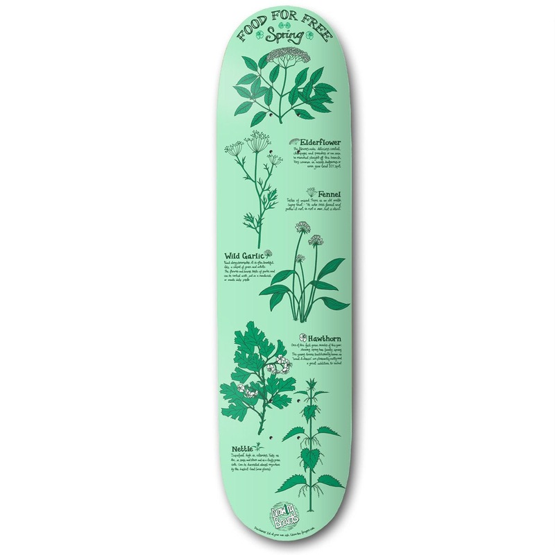 The Drawing Boards – 8.25″ – Food for Free – Spring Deck