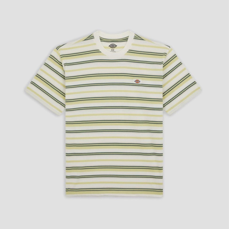 Dickies Glade Spring T-Shirt White Small