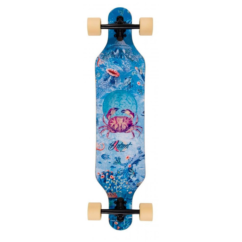 D Street Drop Through Reef Longboard 37″ – Multi