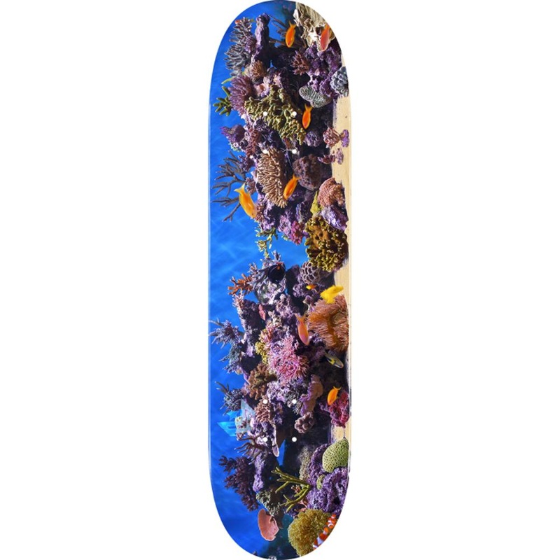 Mini Logo Fish Tank 7.5″ Skateboard Deck