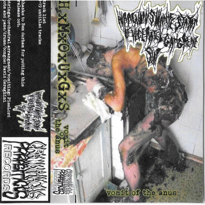 Horrendous Manifestation Of Ulcerated Gangrene Slop  Vomit Of The Anus Cassette *Used 2019 Release*