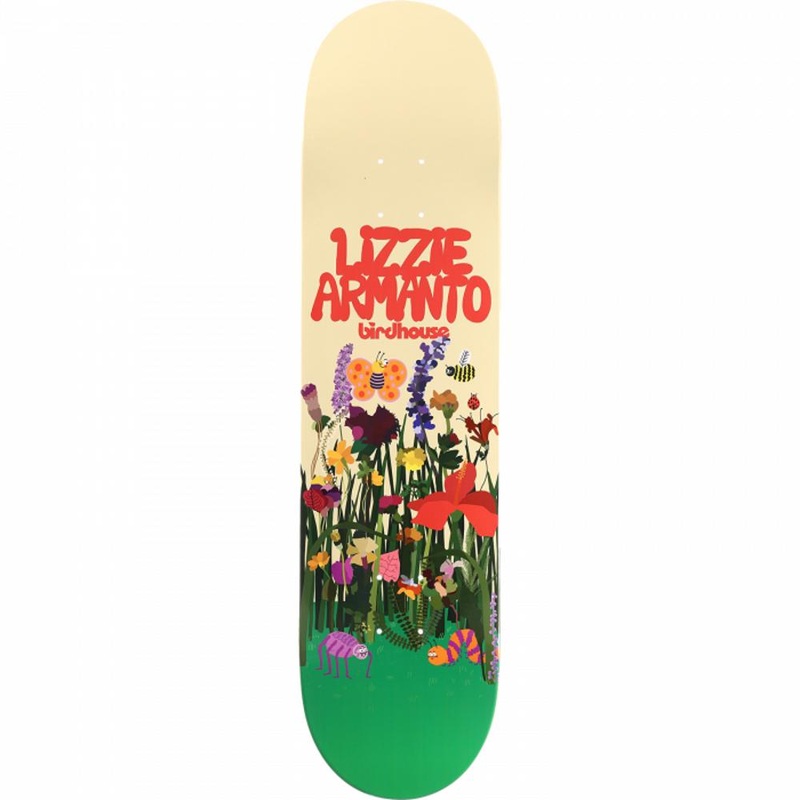 Birdhouse Armanto In Bloom 8.0″ Skateboard Deck