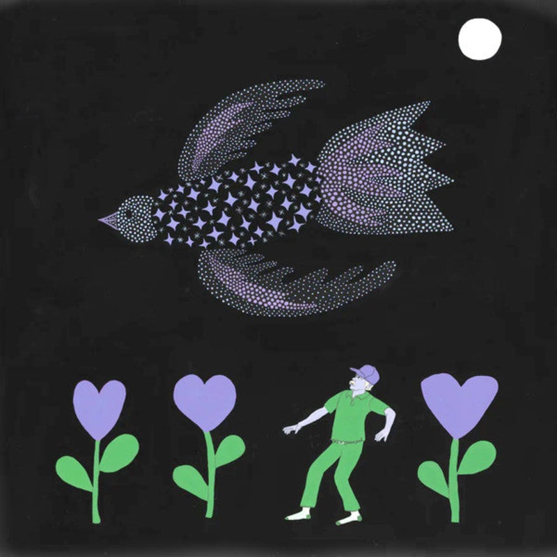 Bonnie ‘Prince’ Billy  The Purple Bird Vinyl LP Record