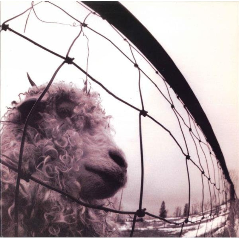 Pearl Jam  Vs. 180G Vinyl LP Record