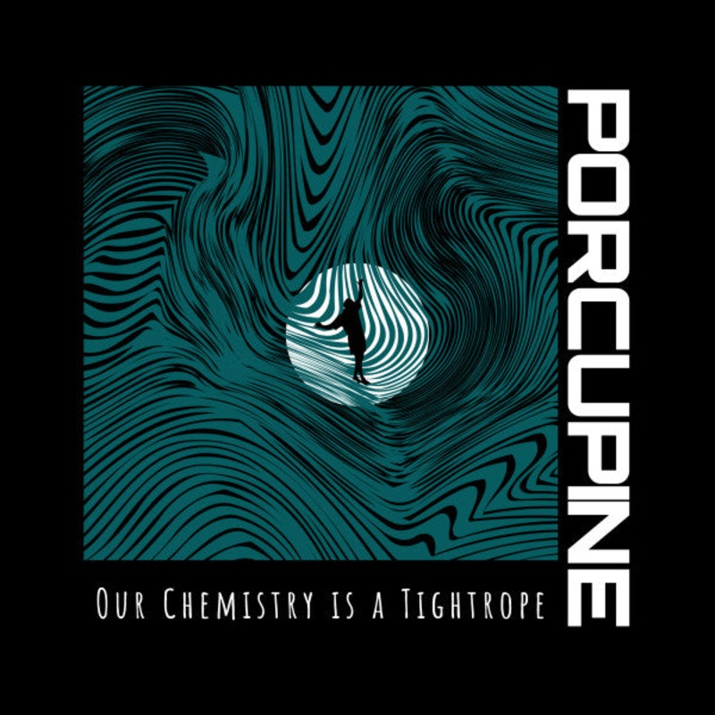 Porcupine  Our Chemistry is a Tightrope Vinyl LP Record