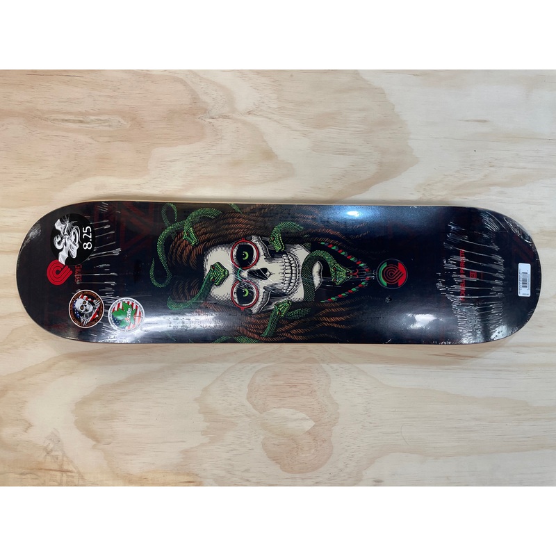 SPENCER SEMIEN SKULL 8.25 X 31.95